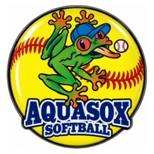 AFA World Series pins