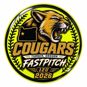 AFA Fastpitch pins
