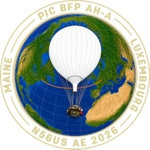 Custom balloon pin