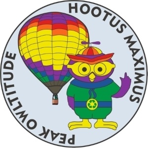 Custom balloon pin
