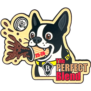 School Beta Club pins