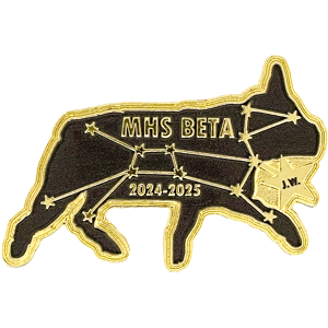 Beta Club pins