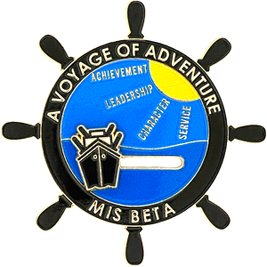 Elementary Beta Club pins Elementary Beta Club pins