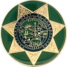 Custom unit coin
