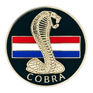 Custom unit challenge coin