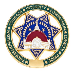 Custom unit coins