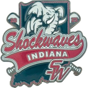 custom baseball pin team pin