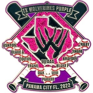 custom baseball pin hot trader