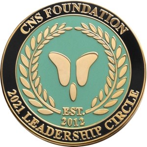 custom lapel pin hard enamel for recognition
