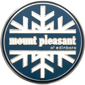 custom lapel pin hard enamel for retail stores