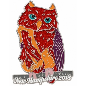 Destination Imagination pin vendor