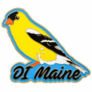 Official Destination Imagination pin vendor