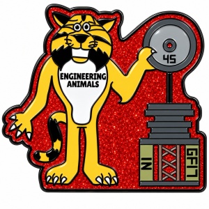 DI trading team pins