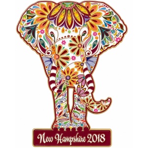 Destination Imagination team pin