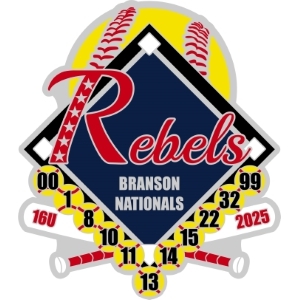 FASA World Series pins
