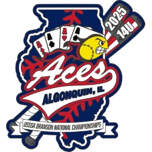 FASA World Series pin