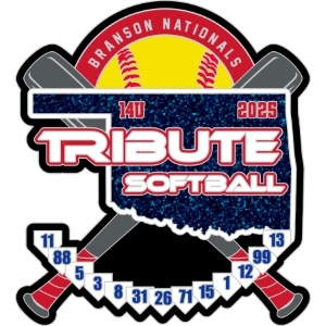 FASA World Series pin