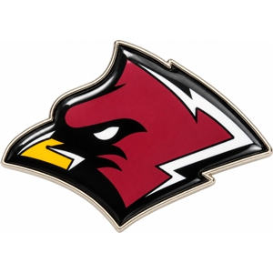 Custom football team trading pin