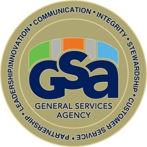 Custom government pins