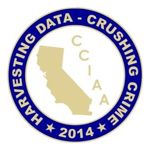 Custom government pins