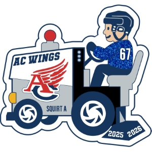 Custom hockey trading pin