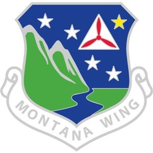 Unit crest pins Unit crest pins
