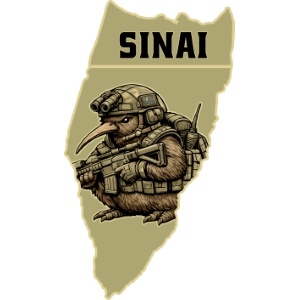 Military unit pins Military unit pins