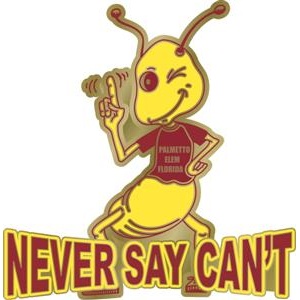 Odyssey of the Mind team pin