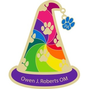 Odyssey of the Mind team pins