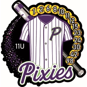 Custom Road to the Show pins