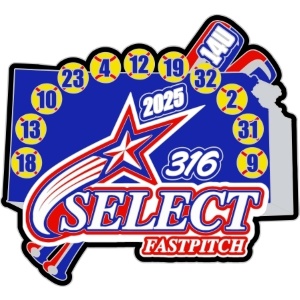 USSSA Road to the Show pin