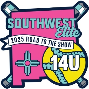 Custom Road to the Show trading pins