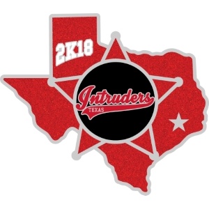 USSSA Road to the Show pin