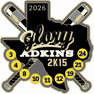 Road to the Show pins