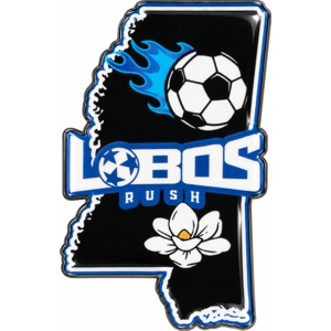 Soccer league pin