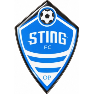Custom soccer league pins