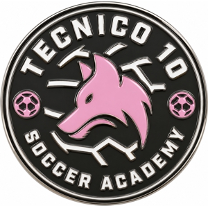 Soccer club pin
