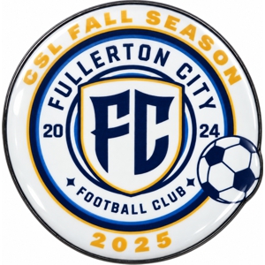 Soccer team pins