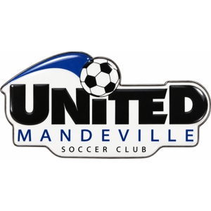 Soccer team pin