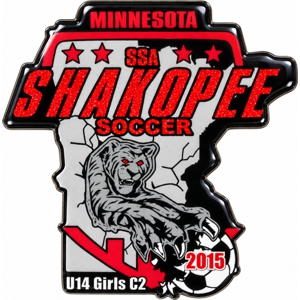 Custom soccer team pins
