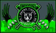 Free team banner with trading pins