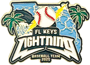 USA Baseball Trading Pins