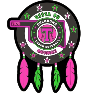 Custom USA Softball pin