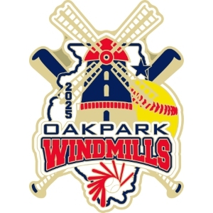 Custom USA Softball pin