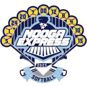 Custom USA Softball pin