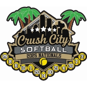 Custom USA Softball pin