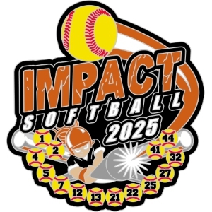 Custom USA Softball pin