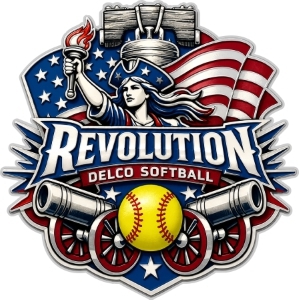 USA Softball pin