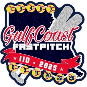 USA Softball pin