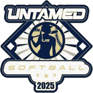 USA Softball pin